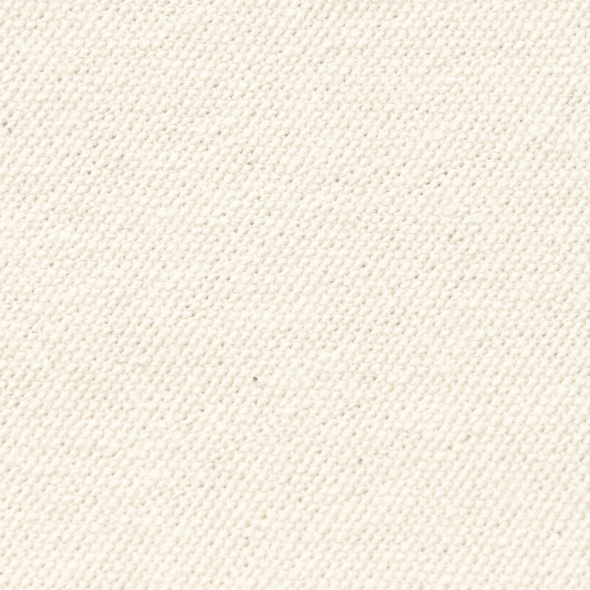 Canvas Classic